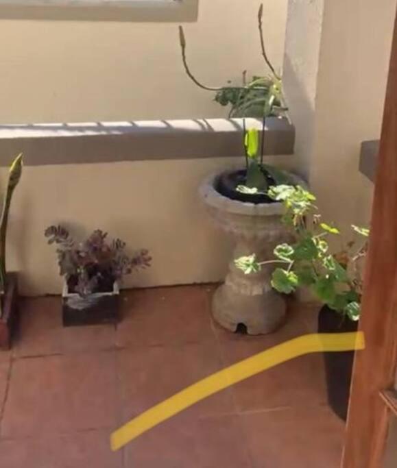 1-Bedroom Sea Point Gem - Perfect Location! Kapstadt Exterior foto